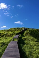 Ascending Eden Volcano pathway offers stunning views and serenity in Auckland, embracing the beauty of clouds in New Zealand