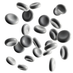 Flowing white blood cells 