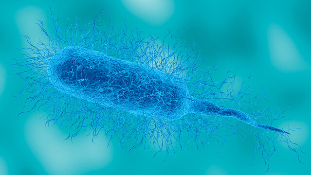 Vibrio vulnificus bacterium in detailed microscopic view. This pathogen causes necrotizing fasciitis. 3D illustration