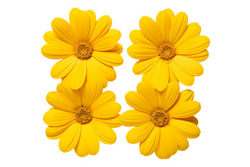Vibrant Yellow Daisy Hair Clips: Perfect Spring Accessory on transparent background png