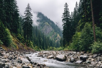 Fototapeta premium Misty mountain stream, lush forest
