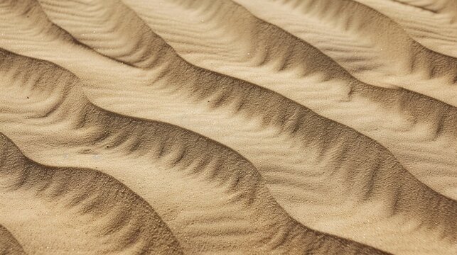Windblown sand texture with smooth parallel ridges in light brown natural desert patterns showing erosion and geological formation details under sunlight.
