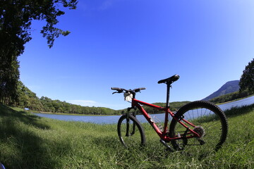 Fototapeta premium Bicycles are parked in the grass by the lake.