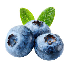 Obraz premium Three plump blueberries with green leaves and water droplets fruit purple, Isolated On Png Transparent Background