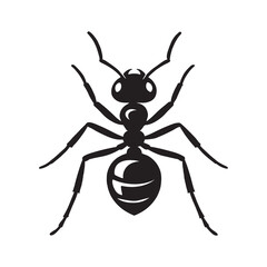 Black Ant isolated on white background illustration