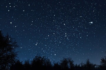 Naklejka premium Starry night sky over trees