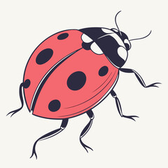 Fototapeta premium ladybug vector illustration