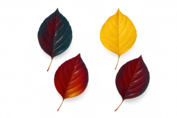 Autumn leaves scattered in rich red, yellow, purple tones resting against translucent backdrop, highlighting seasonal color palette