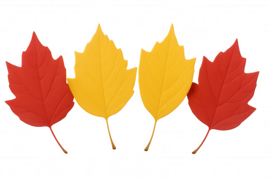 Red and yellow autumn leaves arranged on a transparent background, creating a vibrant and colorful fall-themed image