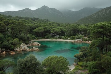 Lush coastal cove nestled beneath misty mountains