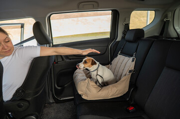Caucasian woman travels by car with her dog. Jack Russell Terrier in a special car seat. 