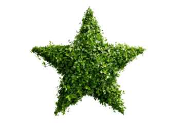 Lush green star shaped topiary against black background plant, Isolated On Png Transparent Background