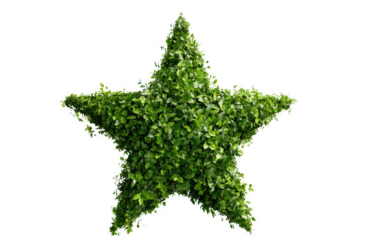 Lush green star shaped topiary against black background plant, Isolated On Png Transparent Background
