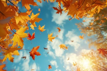 Fall leave with wind breeze sunlight outdoors nature.