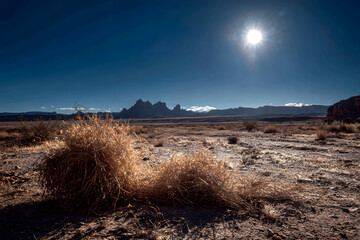 western frontier, in the wild west desert, tumbleweeds roll under the blazing sun, framed by dusty terrain and distant jagged mountains