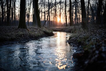 Fototapeta premium Tranquil stream in a winter forest at sunset. Sunlight streams through trees onto water