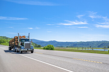 Obraz na płótnie Canvas Dark green day cab big rig semi truck transporting wood logs on semi trailer running on the flat road in Columbia Gorge at sunny day