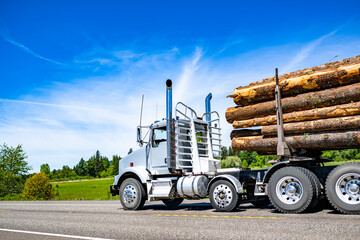 Day cab white powerful big rig semi truck with back cab protection wall transporting huge wood tree...