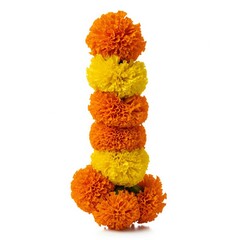 Bright Marigold Flower Garland on White Background – Cultural Worship Decoration
A vertical marigold garland made of vibrant yellow and orange flowers, isolated on a white background.