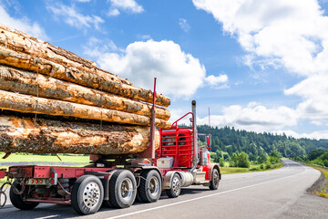 Heavy duty hauler day cab red semi truck transporting logs running on the winding highway road