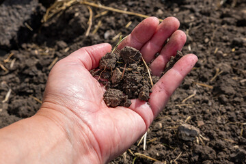 A plowed field in summer