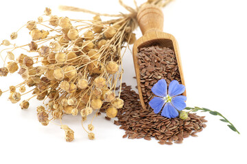A beautiful arrangement featuring flax seeds, blue flower, and dried plants.