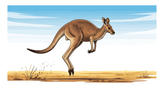 powerful red kangaroo leap dynamic wildlife illustration for australian tourism nature documentaries and childrens books