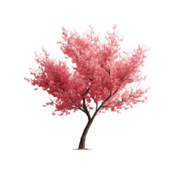 Fototapeta premium A vibrant cherry blossom tree stands isolated, its delicate pink blooms in full display, presenting nature's artistry.