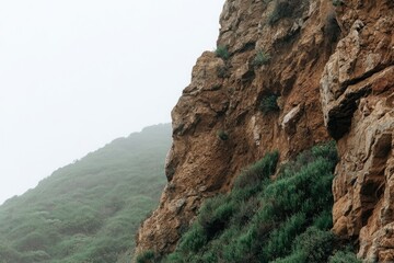 Rocky cliff face, misty hillside