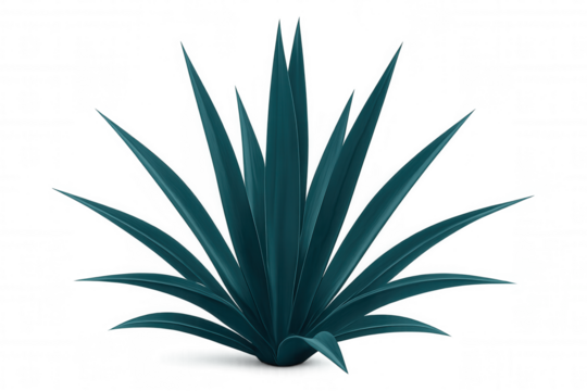 Realistic 3d blue agave rendering, isolated with transparent background, suitable for graphic design applications