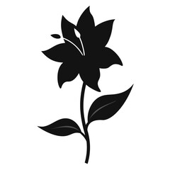  incarvillea mairei silhouette  vector on white background