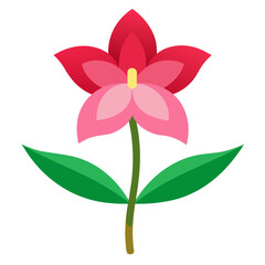 ipheion uniflorum vector  on white