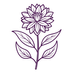 iron weed flower line art vector illustration on white