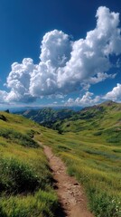 Mountain trail winds through grassy hills under a partly cloudy sky