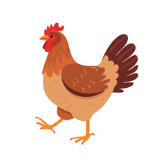 Fototapeta premium A detailed illustration of a brown chicken walking with its leg raised, showing its features.