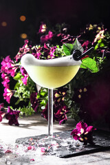 An Elegant Cocktail Beautifully Surrounded by an Array of Vibrant
