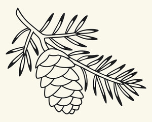 Elegant Pine Cone Branch Illustration with Detailed Needle Structure and Defined Lines for Botanical Studies or Artistic Designs