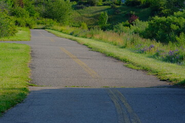 winding road in the park, nature, 