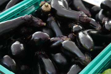 たくさんのナス