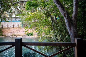 Serene riverside view with lush greenery and a wooden fence, creating a peaceful outdoor setting.