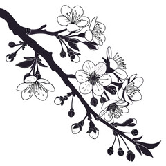 branch with flowers