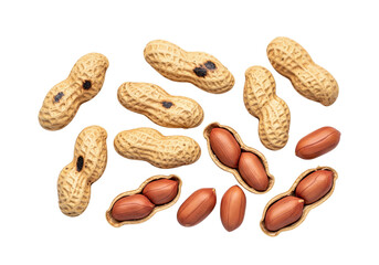 Peanuts Galore: Whole Unshelled, Cracked, and Shelled Kernels Isolated on White Background. A Healthy and Protein-Rich Snack.