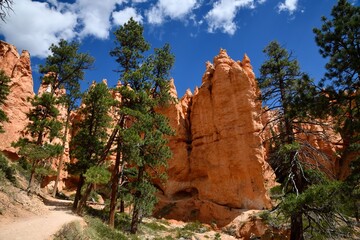 Scenic view of Bryce Canyon's Queens Garden trail with rock formations under a bright blue sky