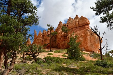 Scenic view of Bryce Canyon's Queens Garden trail with rock formations under a bright blue sky