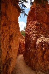 Scenic view of Bryce Canyon's Queens Garden trail with rock formations under a bright blue sky