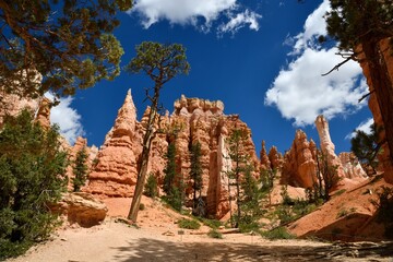 Scenic view of Bryce Canyon's Queens Garden trail with rock formations under a bright blue sky