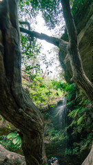 waterfall in the woods jungle
