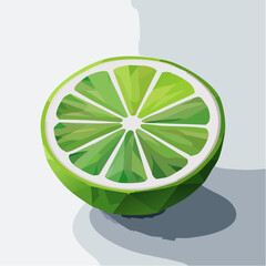 Illustration of Fresh Green Lime Slice