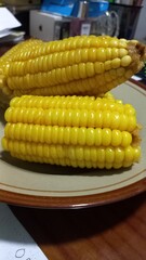 corn on the cob