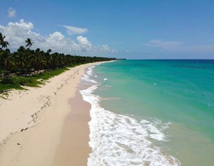 Pristine beach with palm trees, turquoise water, and gentle waves